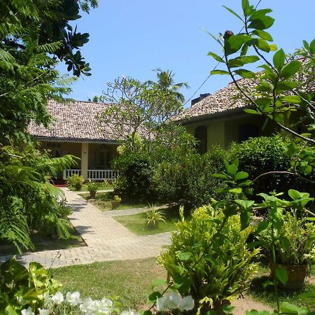 Top Of The Hill Guesthouse Weligama Εξωτερικό φωτογραφία