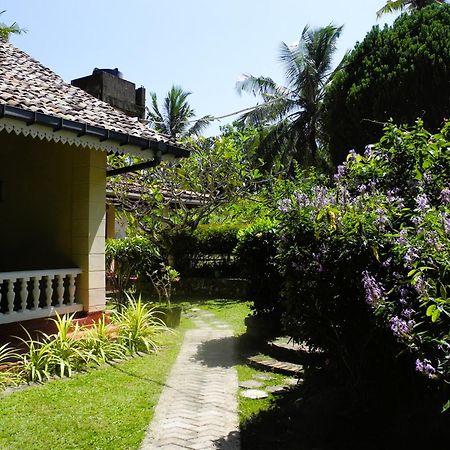 Top Of The Hill Guesthouse Weligama Εξωτερικό φωτογραφία
