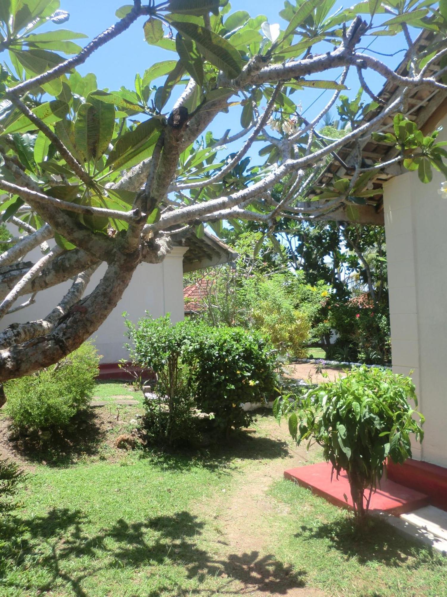 Top Of The Hill Guesthouse Weligama Εξωτερικό φωτογραφία