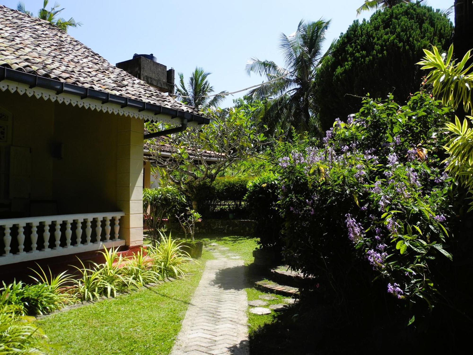 Top Of The Hill Guesthouse Weligama Εξωτερικό φωτογραφία