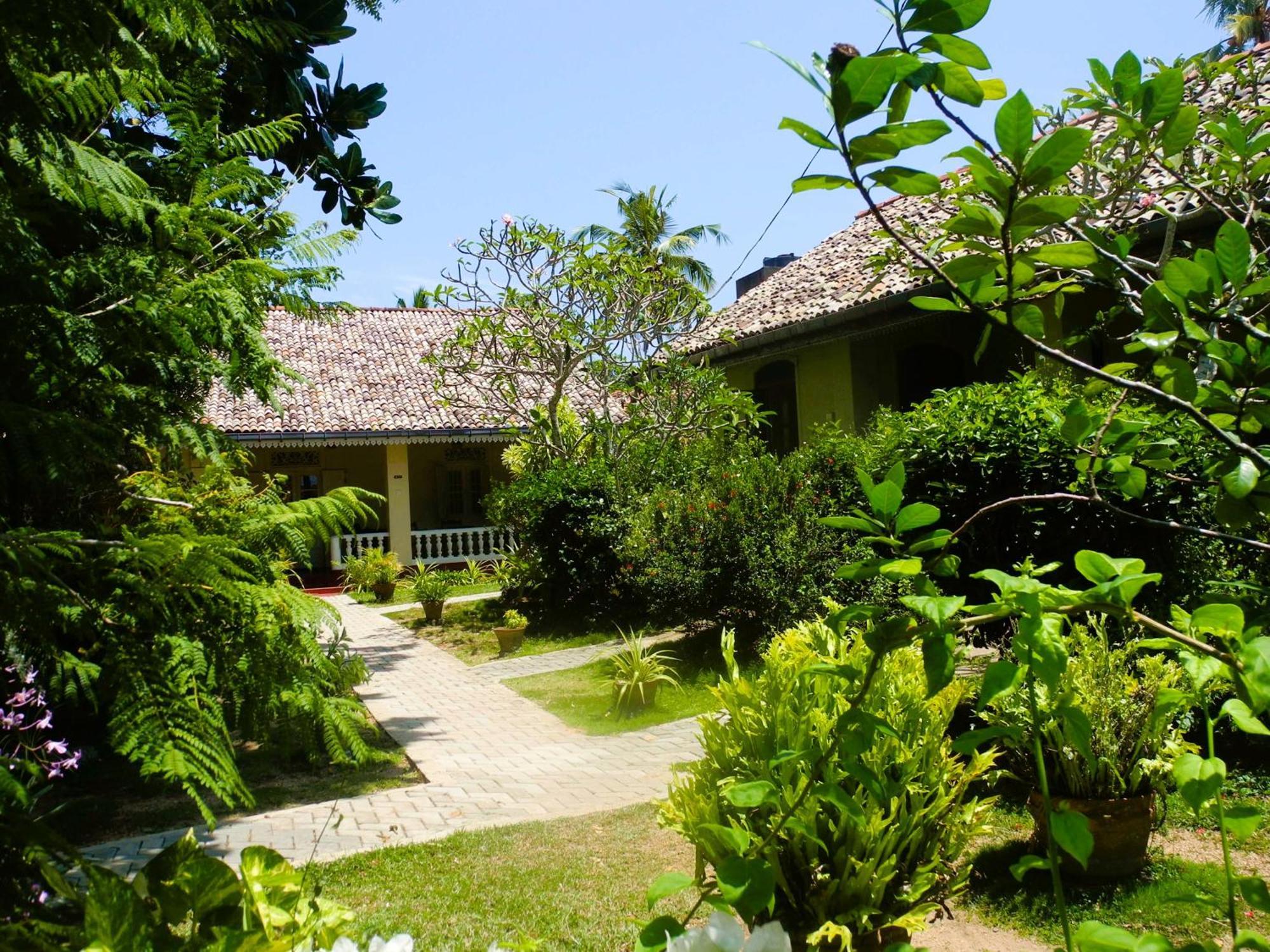 Top Of The Hill Guesthouse Weligama Εξωτερικό φωτογραφία