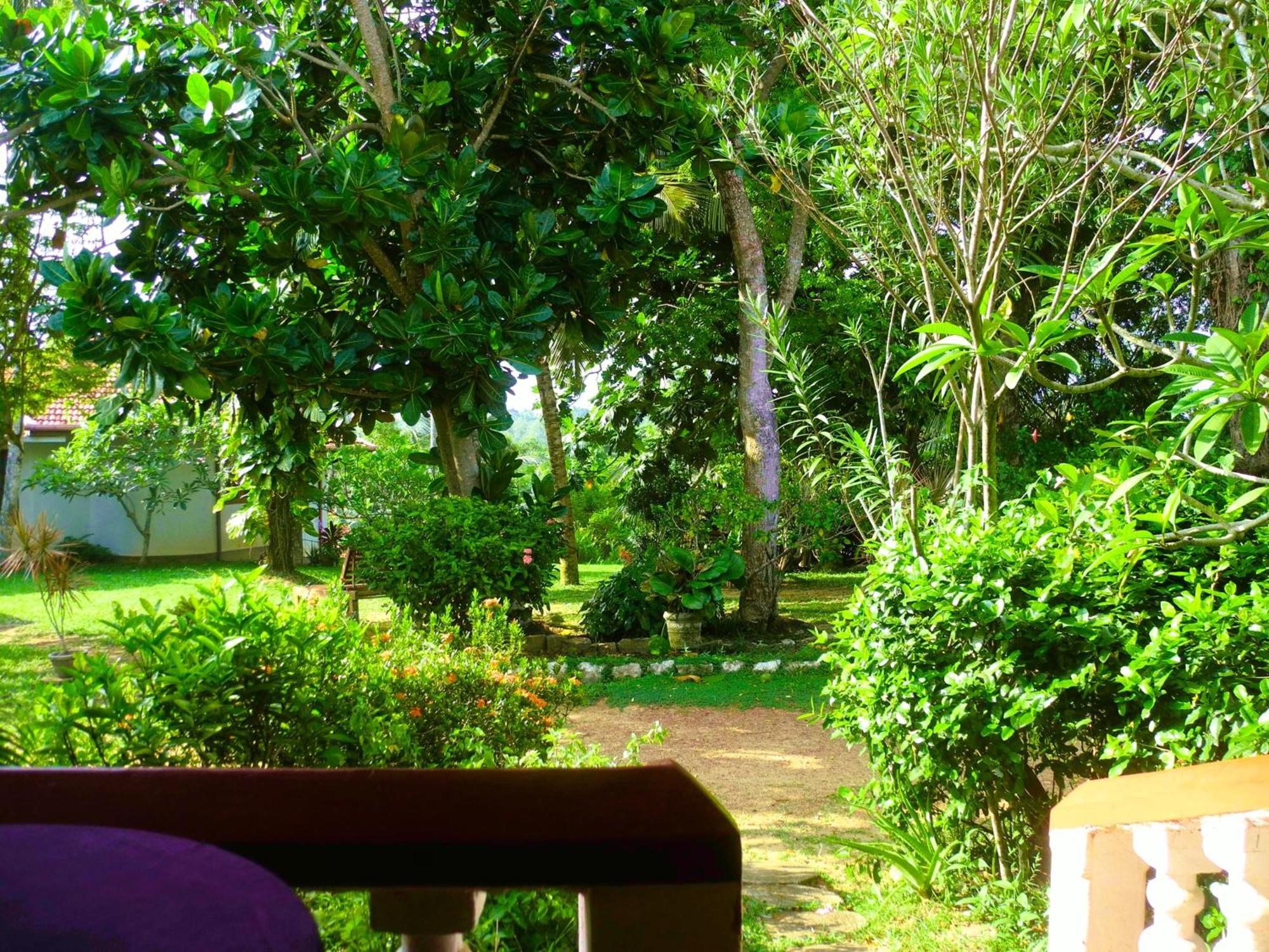 Top Of The Hill Guesthouse Weligama Δωμάτιο φωτογραφία